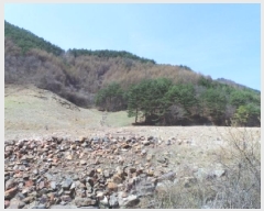  2025Ÿ��493  �����