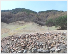  2025Ÿ��493  �����