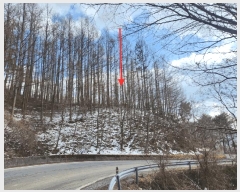  2025Ÿ��523 ���� �¹�� ���� ��63-56       ����(�Ӿ�)���