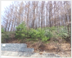  2025Ÿ��523 ���� �¹�� ���� ��63-56       ����(�Ӿ�)���