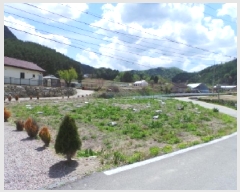  2025Ÿ��684 ���� ��â�� ���θ� �����θ� 680-2      ����(����)���