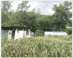  2025Ÿ��844 ���� ������ ����� ��ϸ� ��153-34      ����(�Ӿ�)���