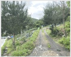  2025Ÿ��844 ���� ������ ����� ��ϸ� ��153-34      ����(�Ӿ�)���