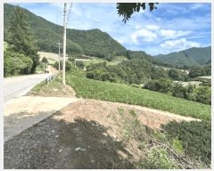  2025Ÿ��974  �����