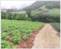  2025Ÿ��974  �����