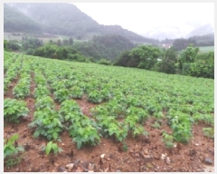  2025Ÿ��974  �����