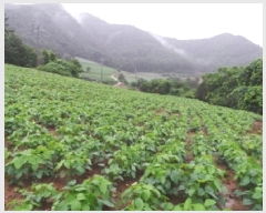  2025Ÿ��974  �����