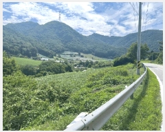  2025Ÿ��974  �����