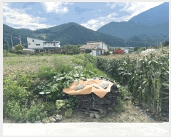  2025Ÿ��1007  �����