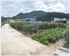  2025Ÿ��1007  �����