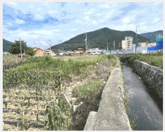  2025Ÿ��1007  �����