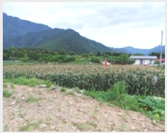  2025Ÿ��1007  �����