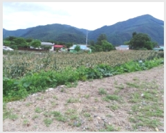  2025Ÿ��1007  �����