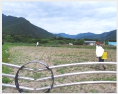  2025Ÿ��1007  �����