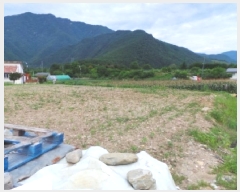  2025Ÿ��1007  �����