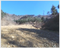  2025Ÿ��30098 ���� ������ ���� ������ 515-1      ����(��1)���