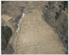  2025Ÿ��30098 ���� ������ ���� ������ 515-1      ����(��1)���