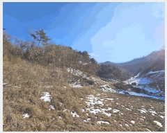  2025Ÿ��30128 ���� ������ ȭ�ϸ� ������ 293      ����(��1)���