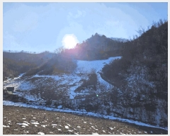  2025Ÿ��30128 ���� ������ ȭ�ϸ� ������ 293      ����(��1)���