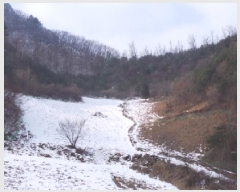  2025Ÿ��30128 ���� ������ ȭ�ϸ� ������ 293      ����(��1)���