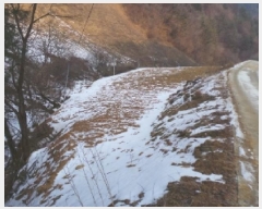  2025Ÿ��30128 ���� ������ ȭ�ϸ� ������ 293      ����(��1)���