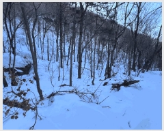  2025Ÿ��30203  �Ӿ߰��