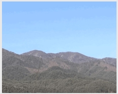  2025Ÿ��30203  �Ӿ߰��