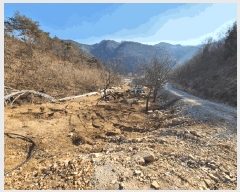  2025Ÿ��30364  �����