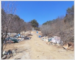  2025Ÿ��30364  �����