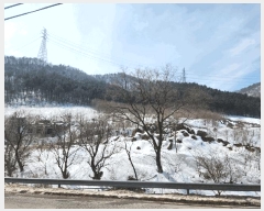  2025Ÿ��30367 ���� ������ ���� ������ 601-4      ����(�Ӿ�)���