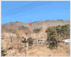  2025Ÿ��30367 ���� ������ ���� ������ 601-4      ����(�Ӿ�)���