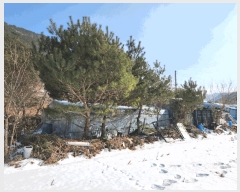  2025Ÿ��30367 ���� ������ ���� ������ 601-4      ����(�Ӿ�)���