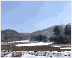  2025Ÿ��30375  �Ӿ߰��