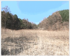  2025Ÿ��30413 ���� ��â�� ����� ��¸� 474      ����(�Ӿ�)���