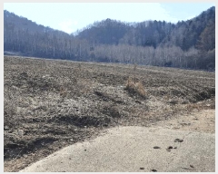  2025Ÿ��30413 ���� ��â�� ����� ��¸� 474      ����(�Ӿ�)���