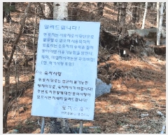  2025Ÿ��30413 ���� ��â�� ����� ��¸� 474      ����(�Ӿ�)���