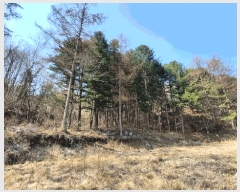  2025Ÿ��30413 ���� ��â�� ����� ��¸� 474      ����(�Ӿ�)���