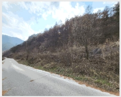  2025Ÿ��30416 ���� ������ ������ ��� 261-1      ����(��1)���