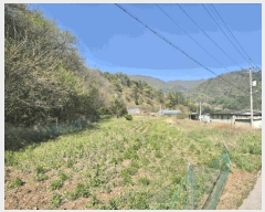  2025Ÿ��30421 ���� ������ �ϸ� ���⸮ 1501-1      ����(��1)���