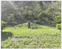  2025Ÿ��30421 ���� ������ �ϸ� ���⸮ 1501-1      ����(��1)���