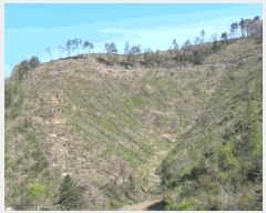  2025Ÿ��30440 ���� ������ ȭ�ϸ� ȭ�ϸ� ��461      ����(�Ӿ�)���