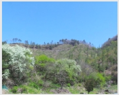  2025Ÿ��30440 ���� ������ ȭ�ϸ� ȭ�ϸ� ��461      ����(�Ӿ�)���