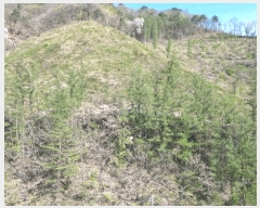  2025Ÿ��30440 ���� ������ ȭ�ϸ� ȭ�ϸ� ��461      ����(�Ӿ�)���