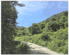  2025Ÿ��30525 ���� ������ ����� ������ 83      ����(��1)���