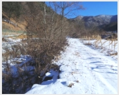  2025Ÿ28  â ȭ Ͼȹ̸ 459      (1)