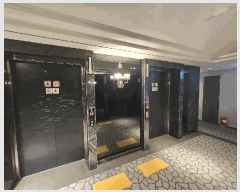  2025Ÿ��59  �ܵ�(ȣ��)���