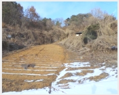  2025Ÿ��103 ���� ������ �ѹݵ��� ������ 840-1      ����(����)���