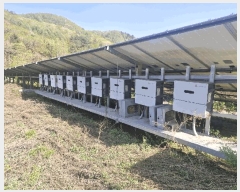  2025Ÿ��219 ���� ��â�� ����� ���� 544      ����(������)���