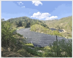  2025Ÿ��219 ���� ��â�� ����� ���� 544      ����(������)���