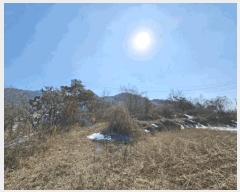  2025Ÿ��240  �Ӿ߰��